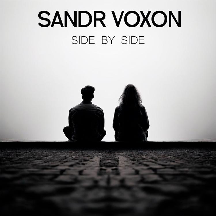 Sandr Voxon's avatar image