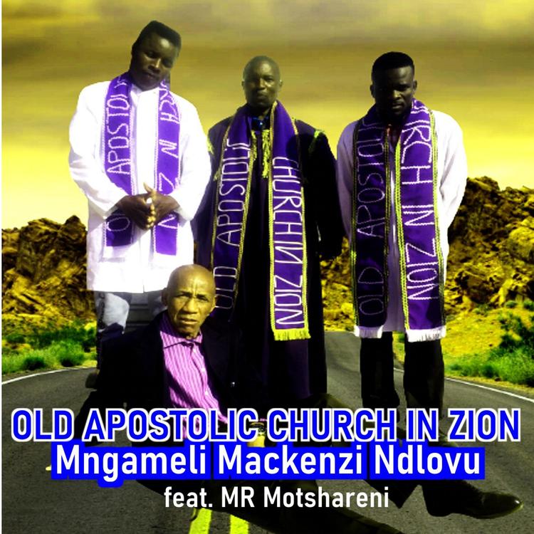 Mngameli Mackenzi Ndlovu(Old Apostolic Church in Zion)'s avatar image