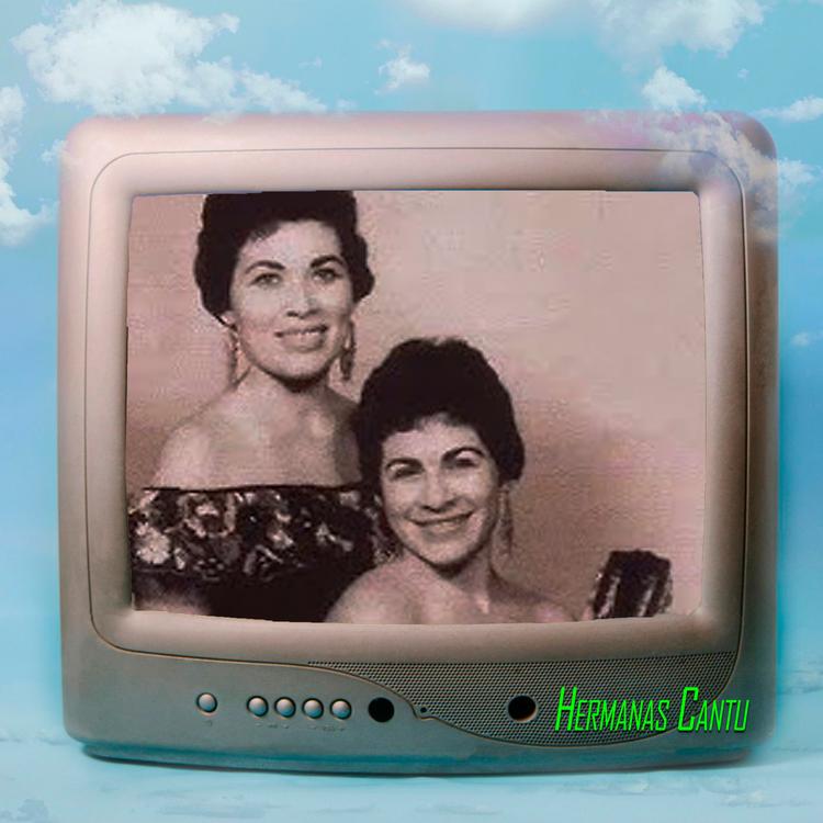 Hermanas Cantu's avatar image