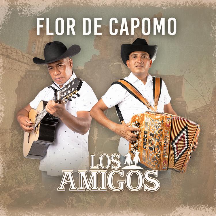 Los Amigos's avatar image