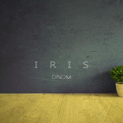 Iris By DNDM's cover