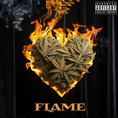 Flame's cover