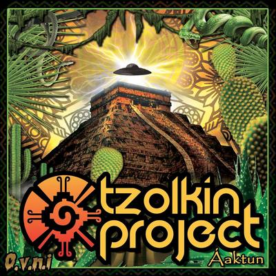 Wiits By Tzolkin Project's cover