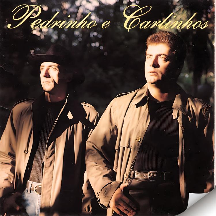 Pedrinho & Carlinhos's avatar image