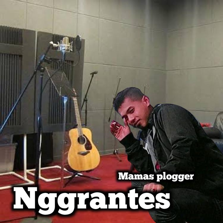 Mamas plogger's avatar image