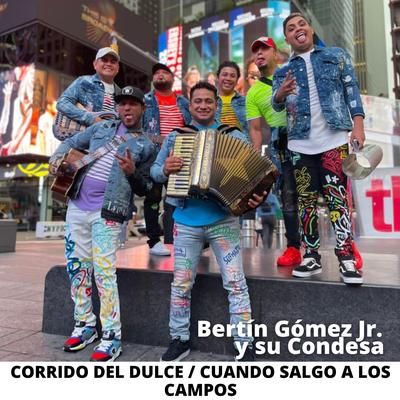 Bertin Gomez Jr Y Su Condesa's cover