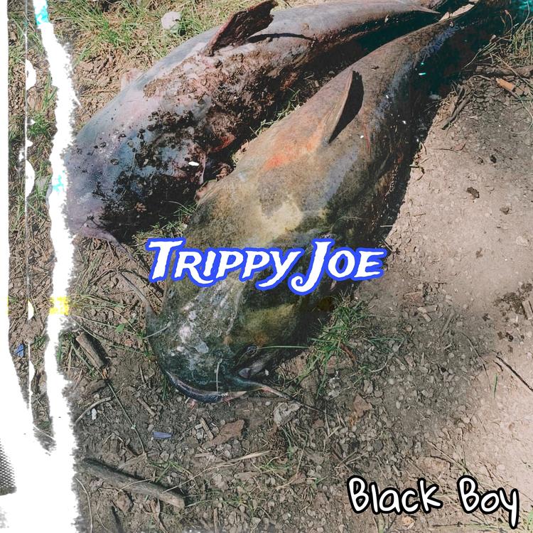 Trippy Joe's avatar image