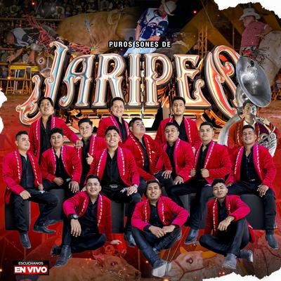 Puros Sones De Jaripeo's cover