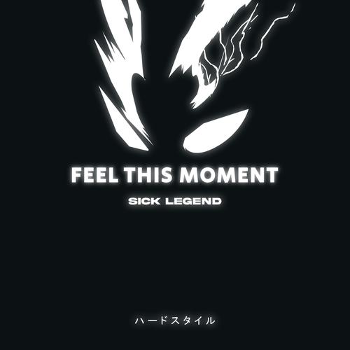 FEEL THIS MOMENT HARDSTYLE's cover