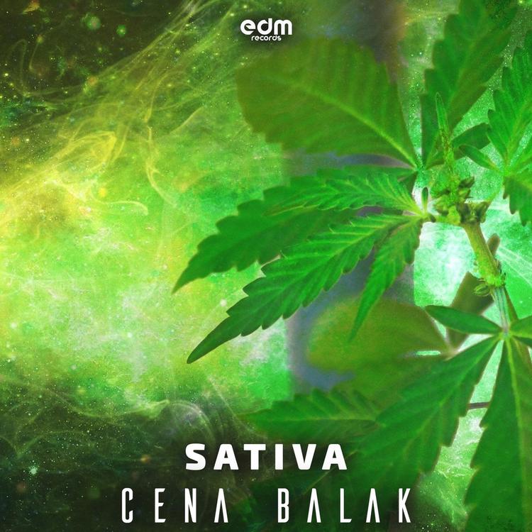 Cena Balak's avatar image