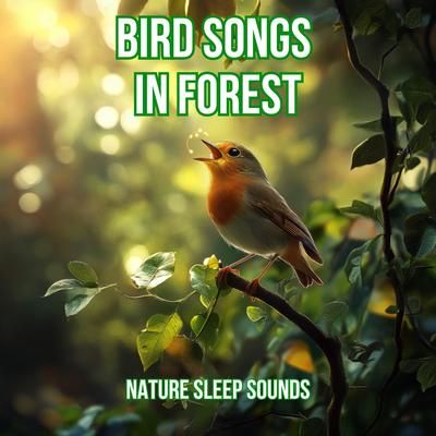 Birds in Calm Forest Atmosphere's cover