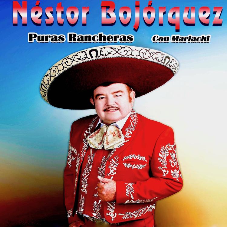 Nestor Bojorquez's avatar image