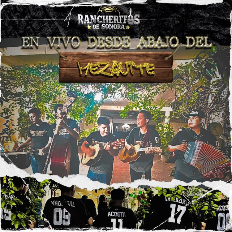 Rancheritos De Sonora's avatar image