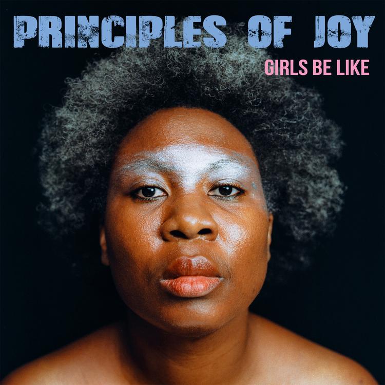 Principles Of Joy's avatar image