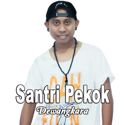 Santri Pekok's cover