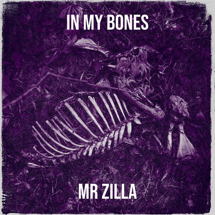 Mr Zilla's avatar image