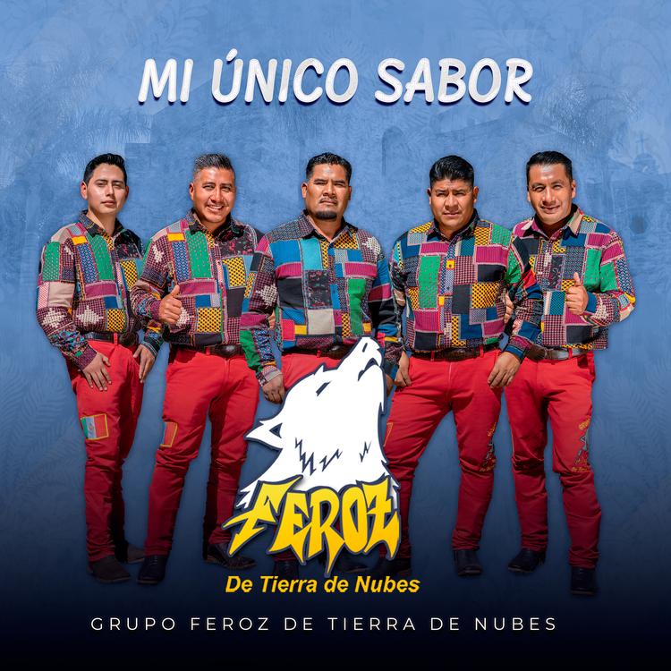 Grupo Feroz De Tierra De Nubes's avatar image