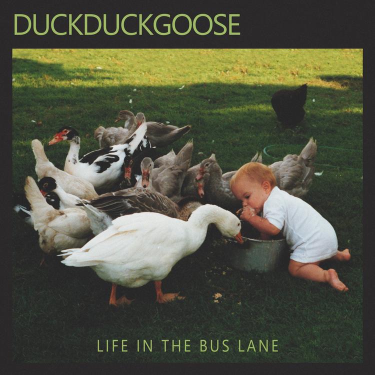 duckduckgoose's avatar image