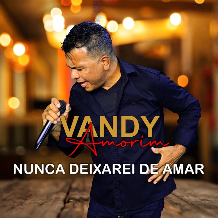 Vandy Amorim's avatar image