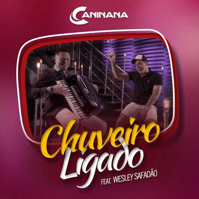 Chuveiro Ligado By Caninana, Wesley Safadão's cover