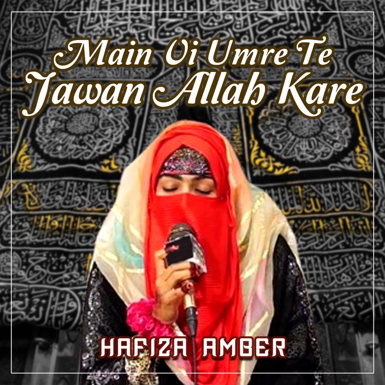 Hafiza Amber's avatar image