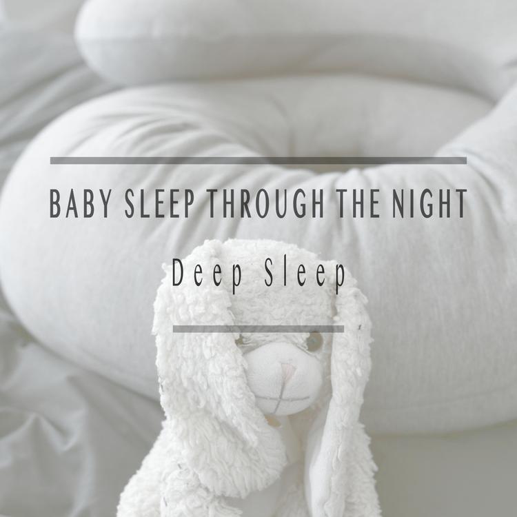 Baby Sleep Through the Night's avatar image