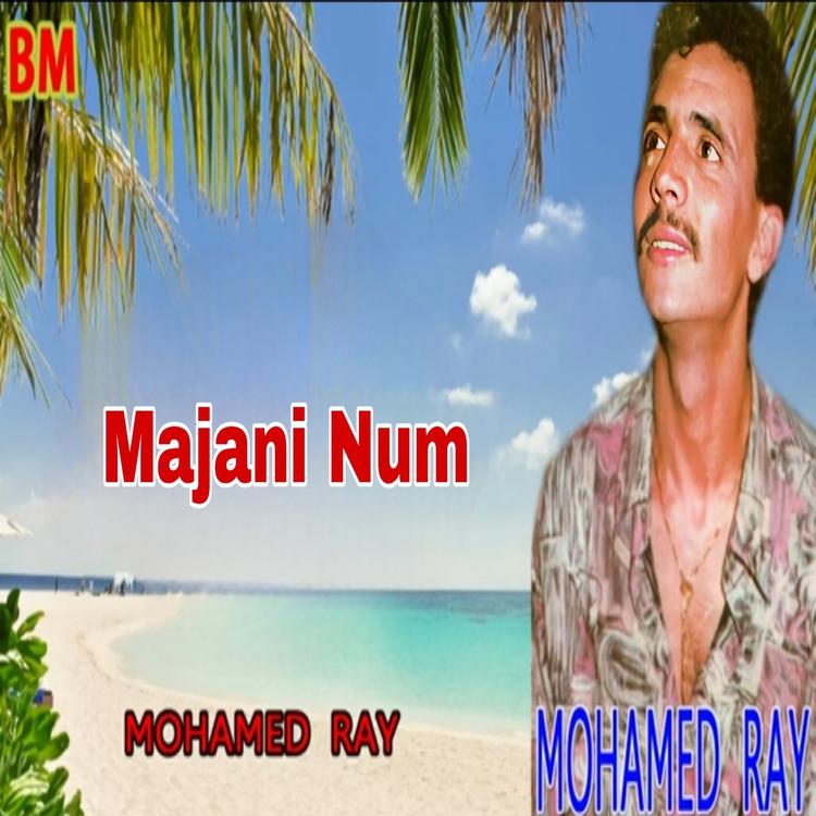 Mohamed Ray's avatar image