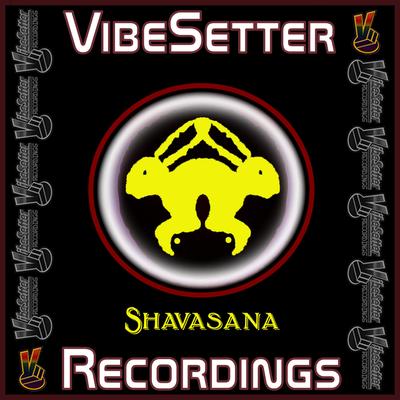 VibeSetter Recordings's cover