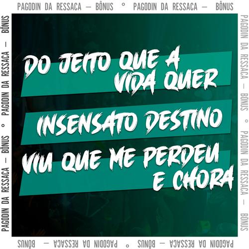 Do Jeito Que a Vida Quer / Insensato Destino / Viu Que Me Perdeu e Chora's cover