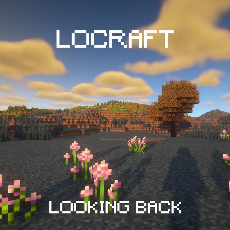 LoCraft's avatar image