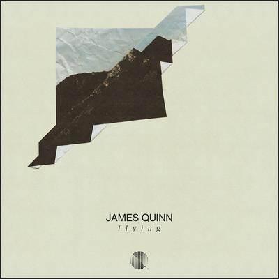 Flying By James Quinn's cover