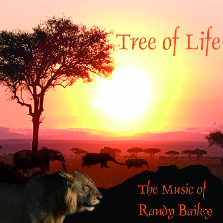 Randy Bailey's avatar image