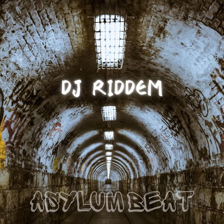 DJ Riddem's avatar image