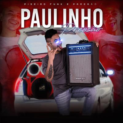 Viciou Na Flauta By Paulinho Pressão's cover