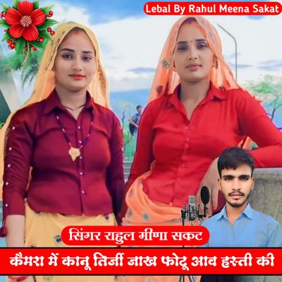 Rahul Meena Sakat's cover