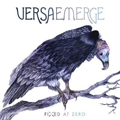 Fixed At Zero (Deluxe)'s cover