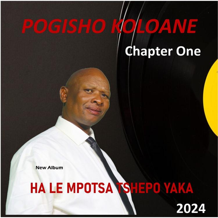 Pogisho Koloane's avatar image