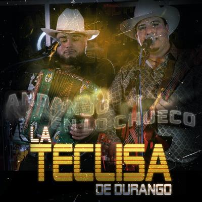 La Teclisa de Durango's cover