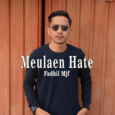 Meulaen Hate's cover