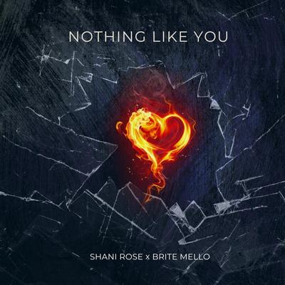 Nothing Like You By Shani Rose's cover