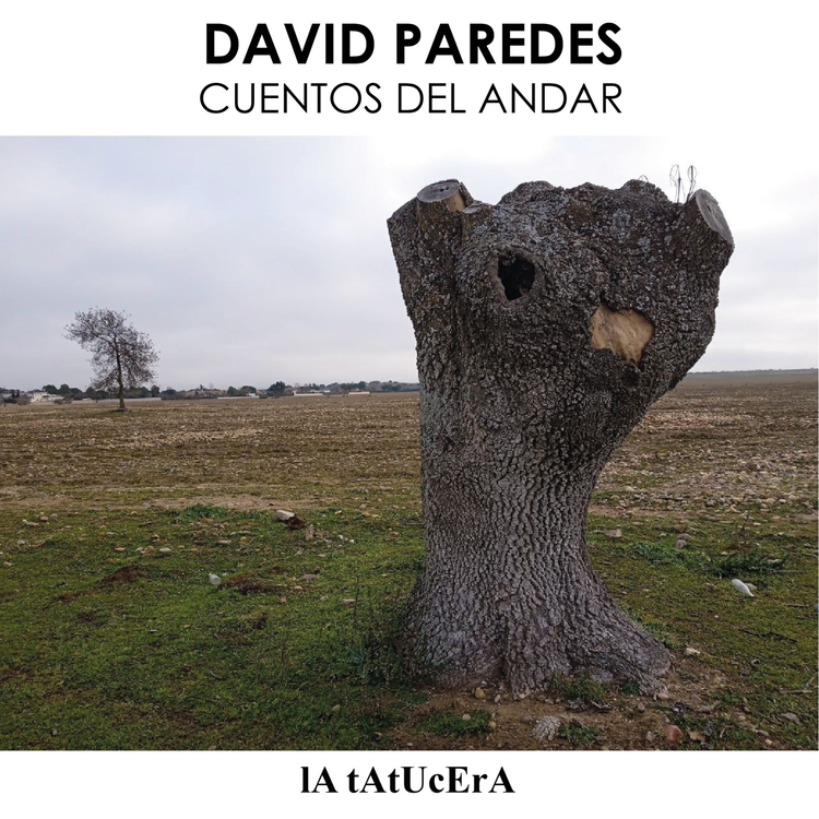 David Paredes's avatar image