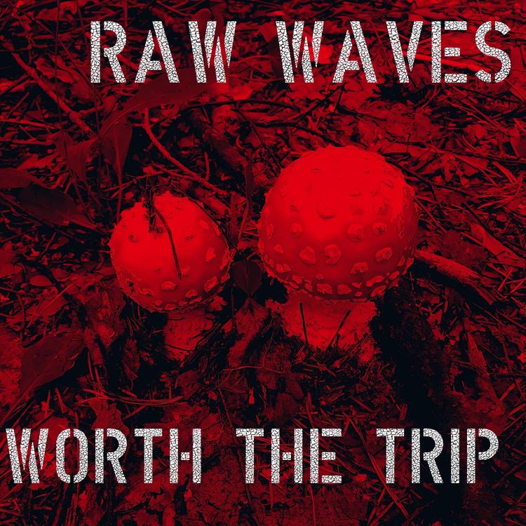 Raw Waves's avatar image
