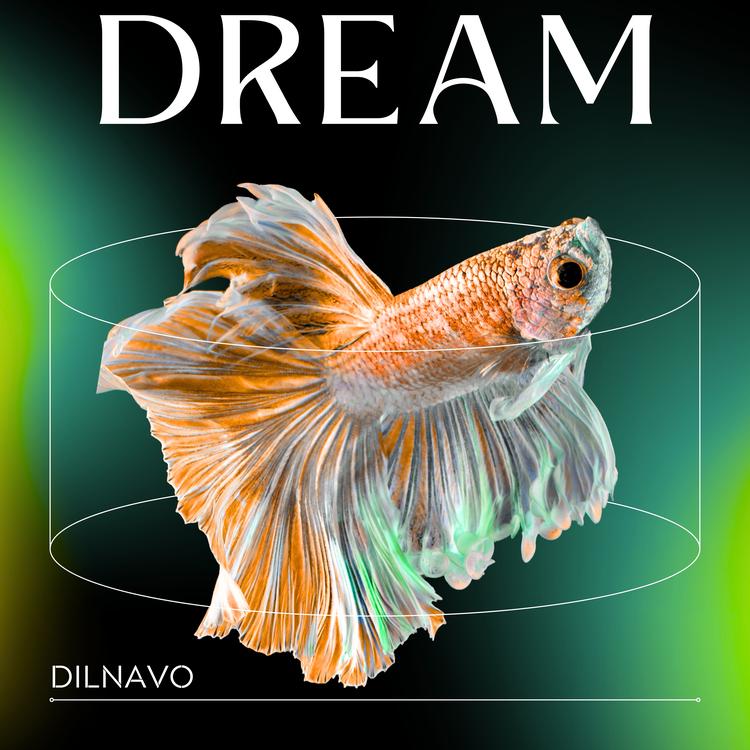 Dilnavo's avatar image