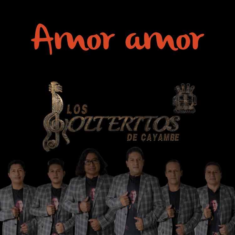 Los Solteritos de Cayambe's avatar image