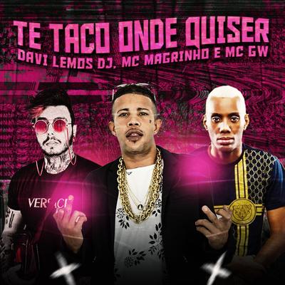 Te Taco Onde Quiser By Davi Lemos DJ, Mc Magrinho, Mc Gw's cover