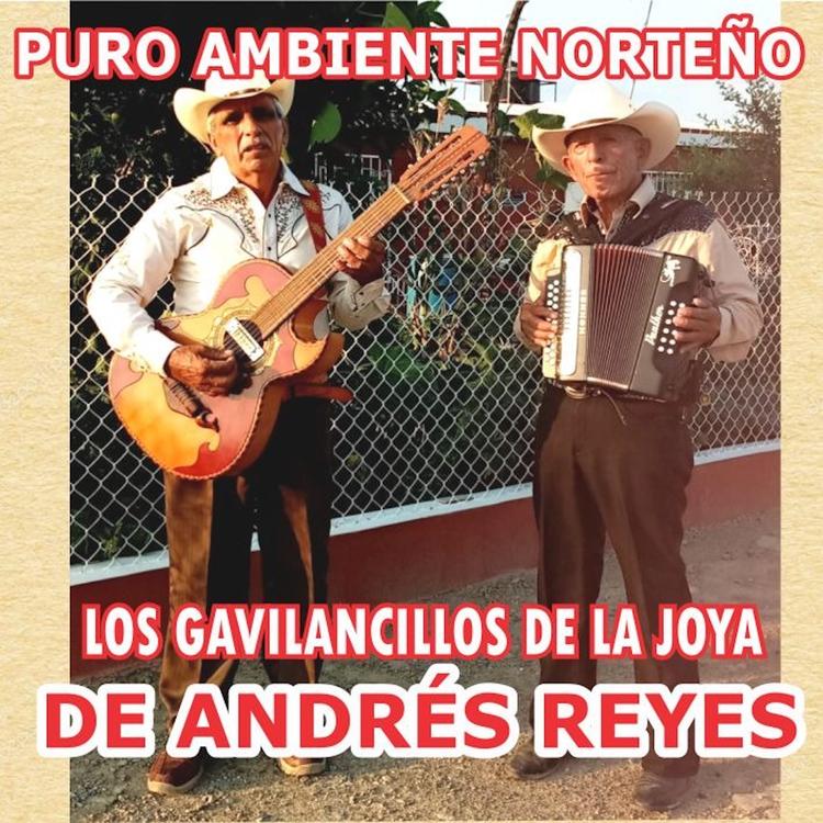 Los Gavilancillos de la Joya de Andres Reyes's avatar image
