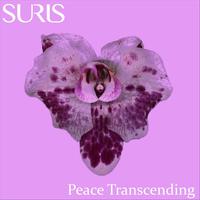 Suris's avatar cover