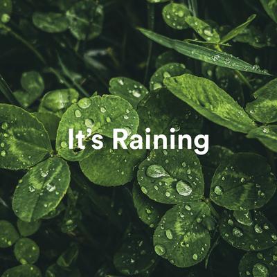 It's Raining's cover