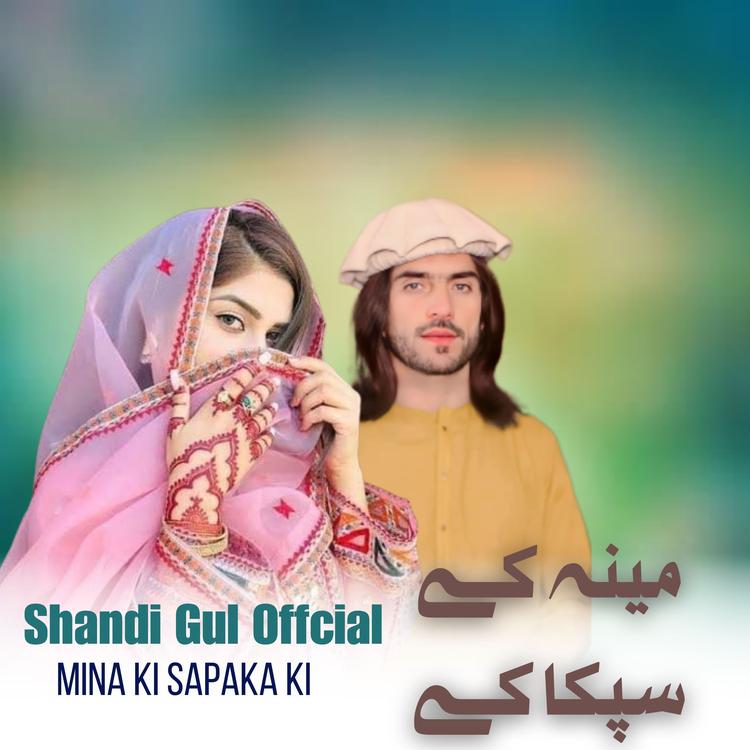 Shandi Gul Offcial's avatar image