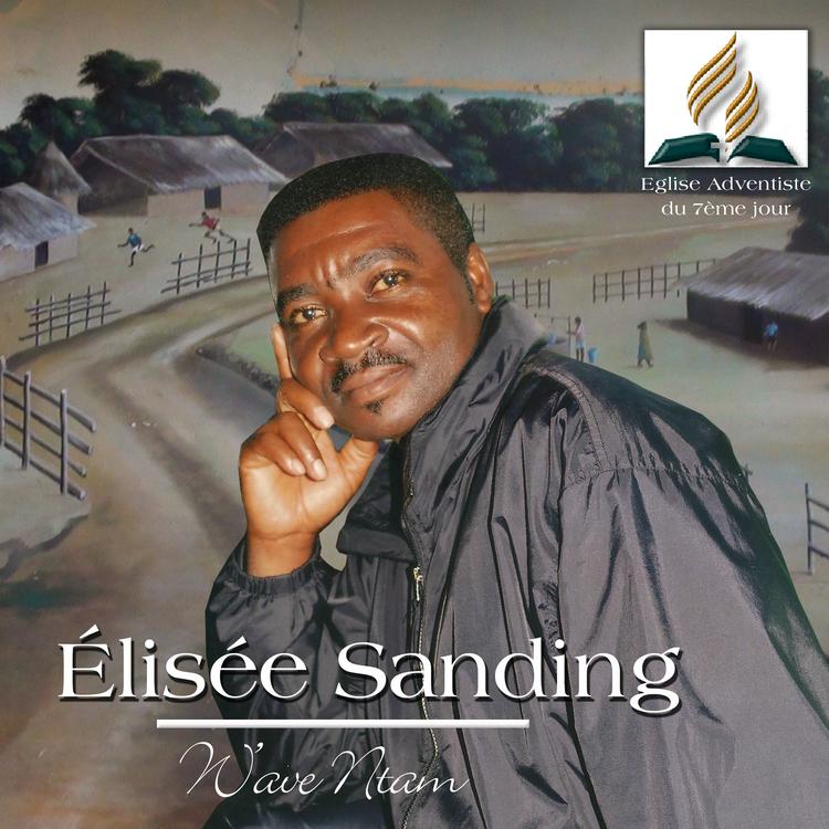 Elisée Sanding's avatar image